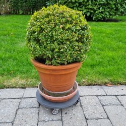 Inventarhjul "Nero" 75mm - 73x60mm Plade