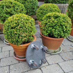 Inventarhjul "Nero" 38mm - 46x40mm Plade - med Bremse