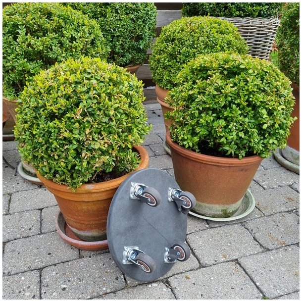 Inventarhjul "Nero" 75mm - 73x60mm Plade