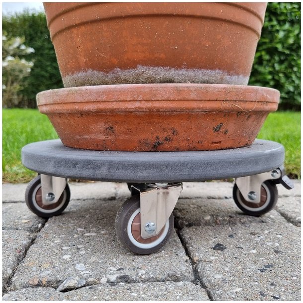 Inventarhjul "Nero" 25mm - 38x30mm Plade