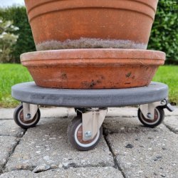 Inventarhjul "Nero" 50mm - 46x40mm Plade