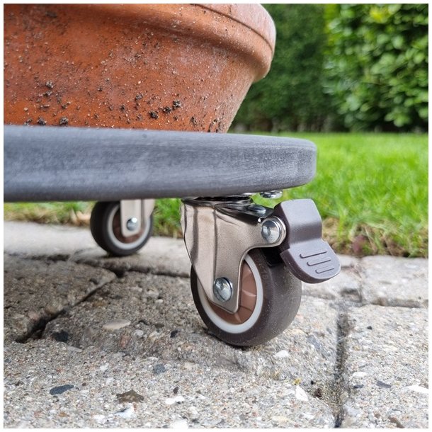 Inventarhjul "Nero" 38mm - 46x40mm Plade - med Bremse