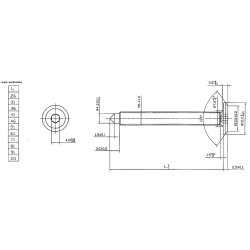 Samleskrue M6x80mm - Rustfri Stl (AISI  316)