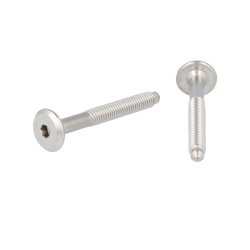 Samleskrue M6x50mm - Rustfri Stl (AISI  316)