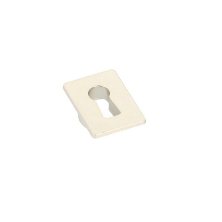 Indslags N�gleskilt 28x20mm - S�lv Forniklet