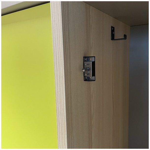 Modblik til Elektronisk Ls "Iris-Mini" - Mifare1