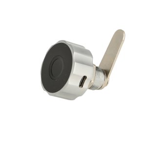 Elektronisk Fingeraftryksls 