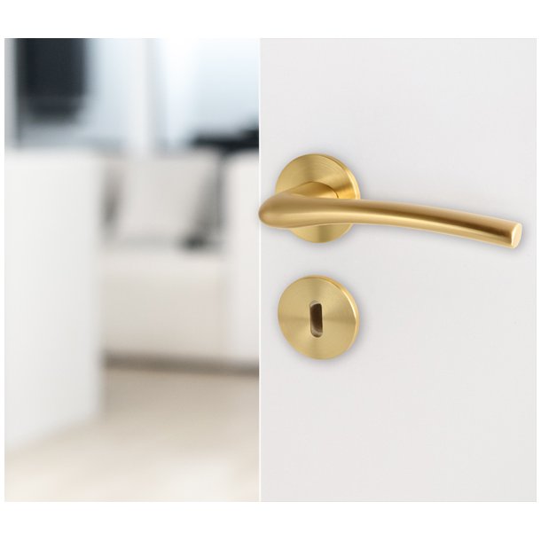 Drgreb St "Trance" - Brstet Messing - Massiv