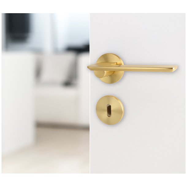 Drgreb St "Disco" - Brstet Messing - Massiv